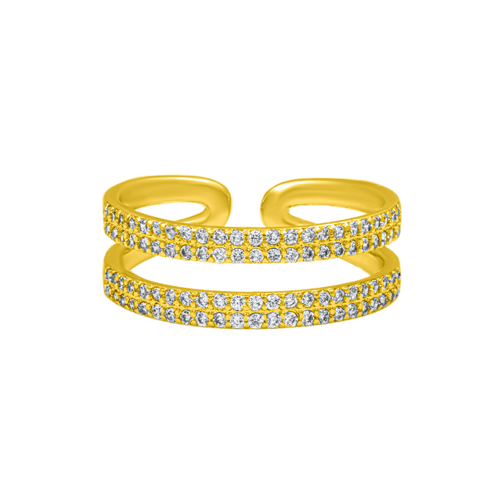 Double Shiny Ring 14K Vergoldet